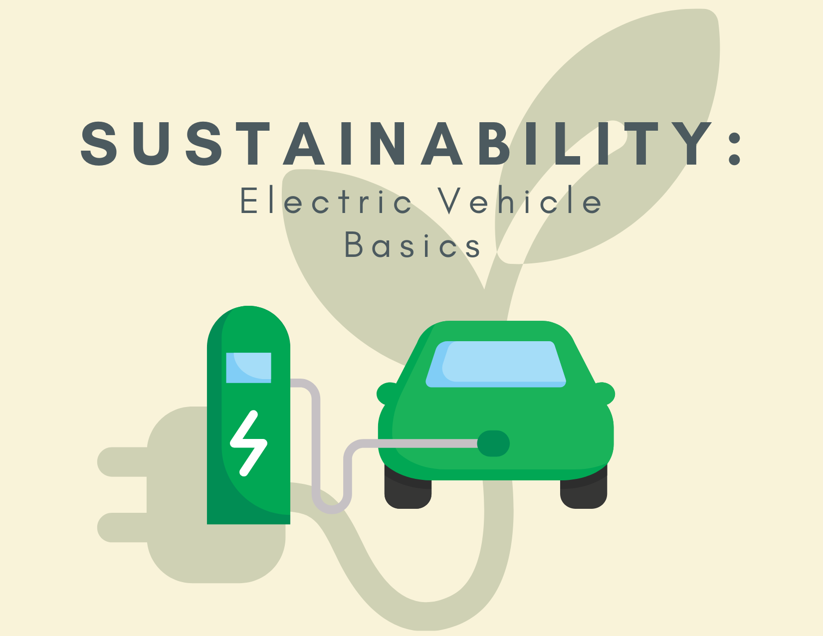 Sustainability: Electric Vehicles