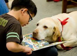 Boy reading to a a sweet yellow lab.