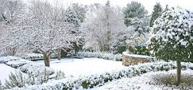 picture of a snowy garden