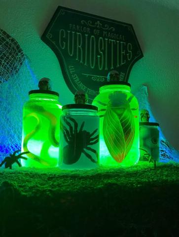 Glowing Creepy Crawly Jars