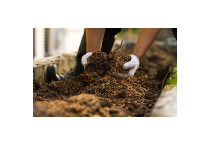 picture of gloved hands in compost
