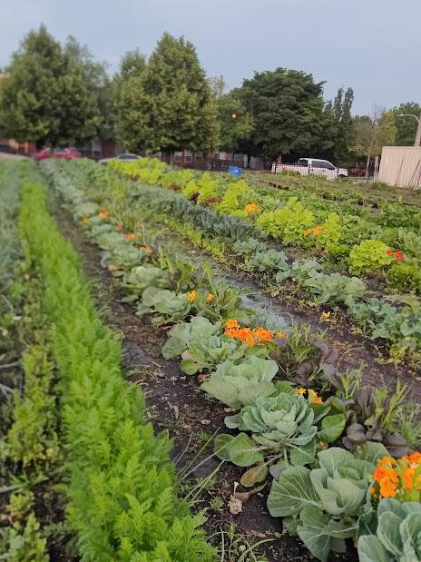Picture of a Farm in Fall